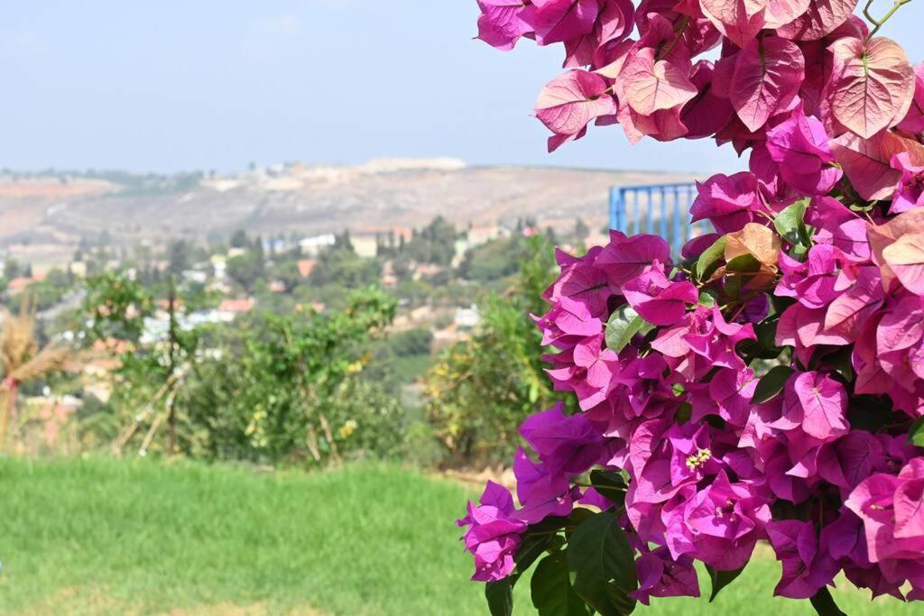 Villa מטולה מול חרמון Extérieur photo